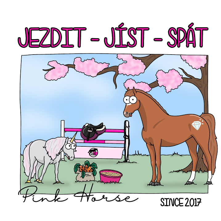 Vánoční dárky pro milovníky koní 2025: Kompletní průvodce originálními dárky od Pink Horse