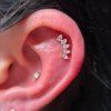 Crown labret