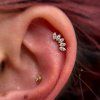 Elysia labret