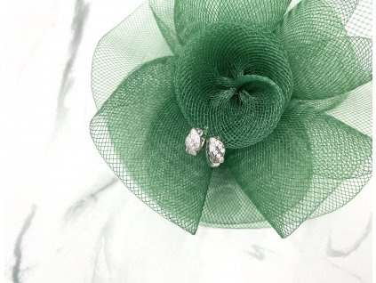 Exkluzívne náušnice kruhy Juliet Silver