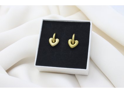 Náušnice z chirurgickej ocele Circle Heart Gold