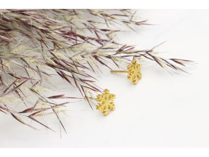 Náušnice z chirurgickej ocele Snowflake Gold