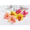 Letné náušnice Tropická Orchidea