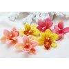 Letné náušnice Tropická Orchidea