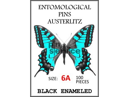 Black enameled pins - size 6A - 100 pcs