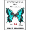 Black enameled pins - size 6A - 100 pcs