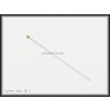 Entomological insect pins Austerlitz SS 1 golden head