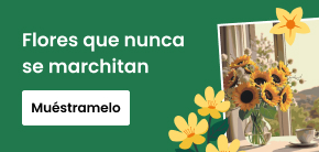 category_banner_big_mobile