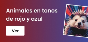 category_banner_big_mobile