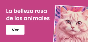category_banner_big_mobile