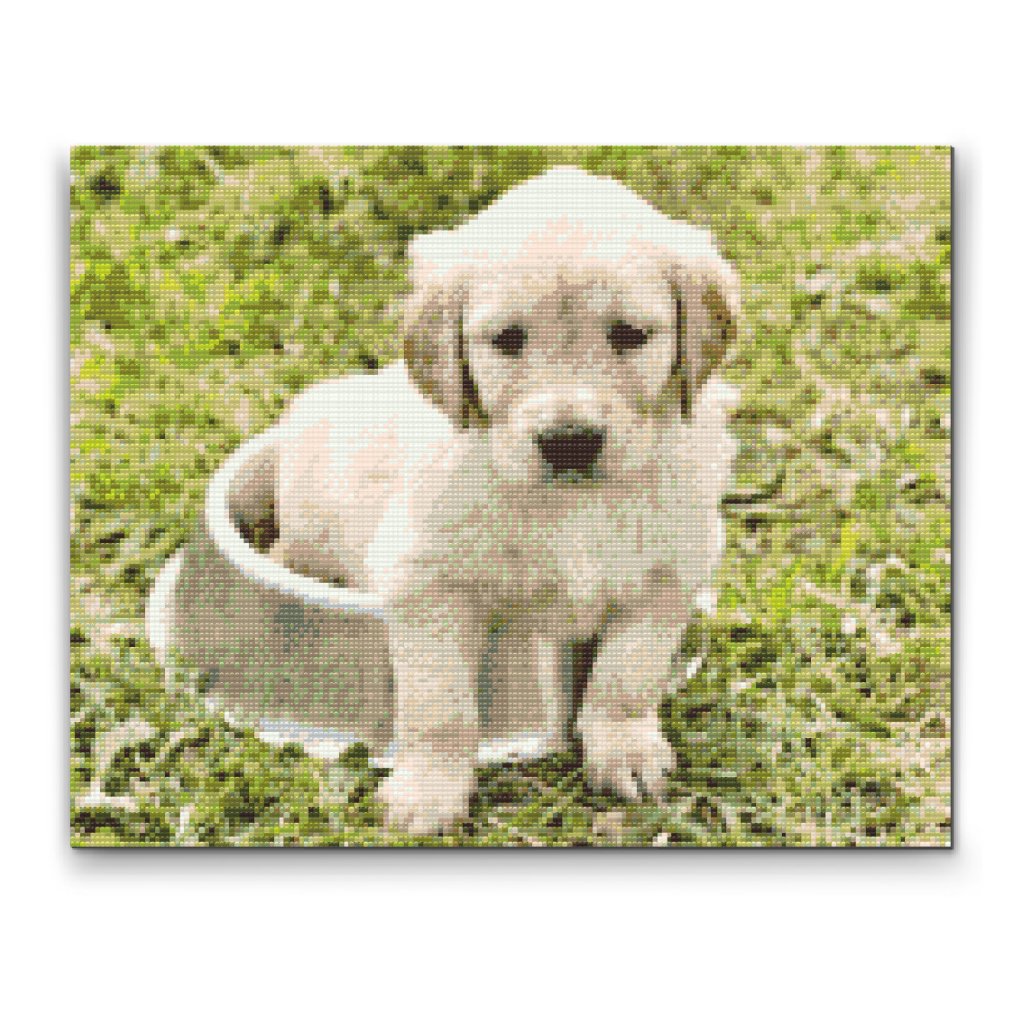 Pintura de diamante - Labrador en un tazón