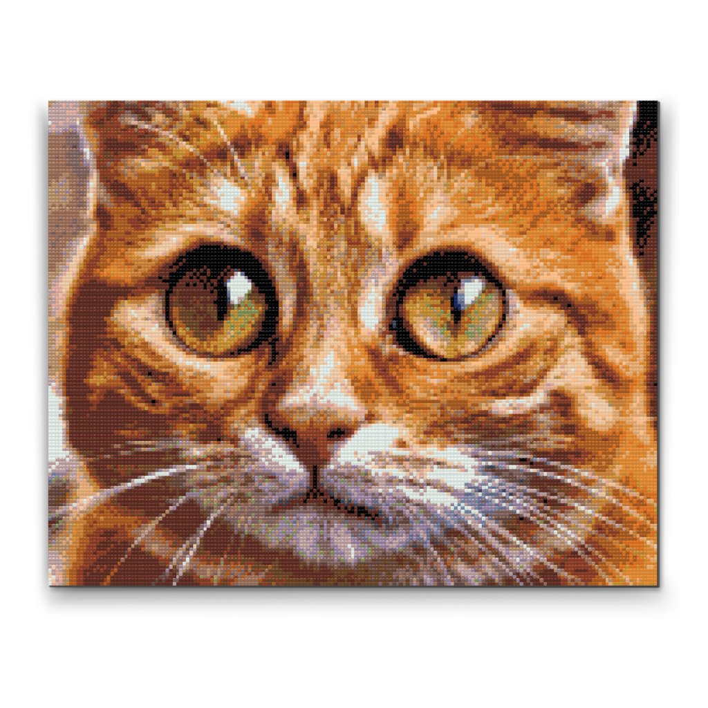 Pintura de diamante - Ojos de gato 2