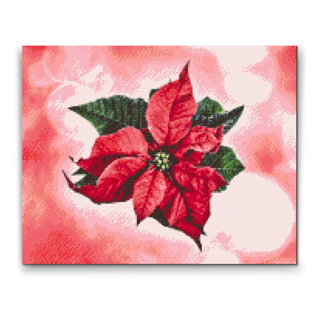Pintura de diamante - Flor de Pascua