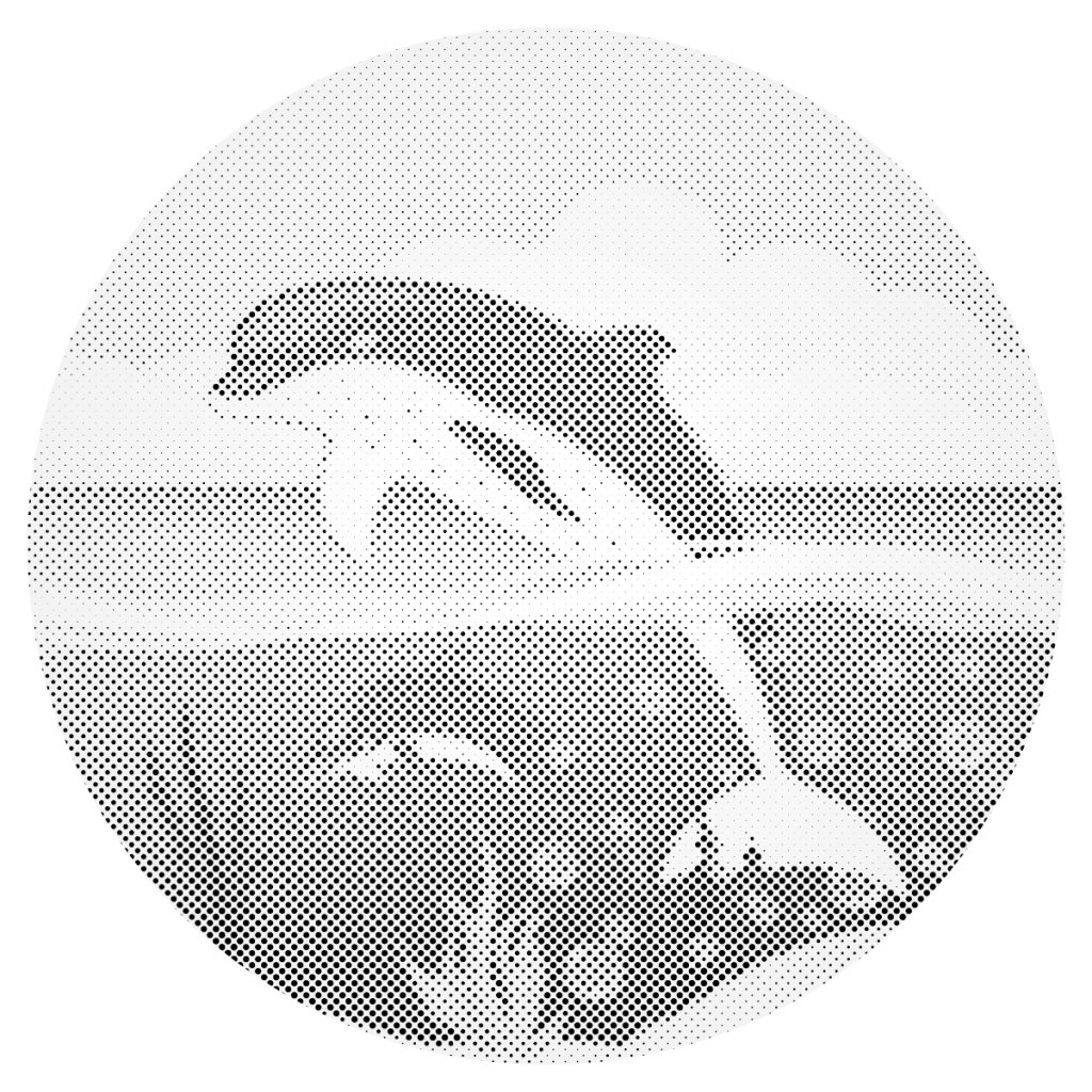 Puntillismo – Delfines en el océano