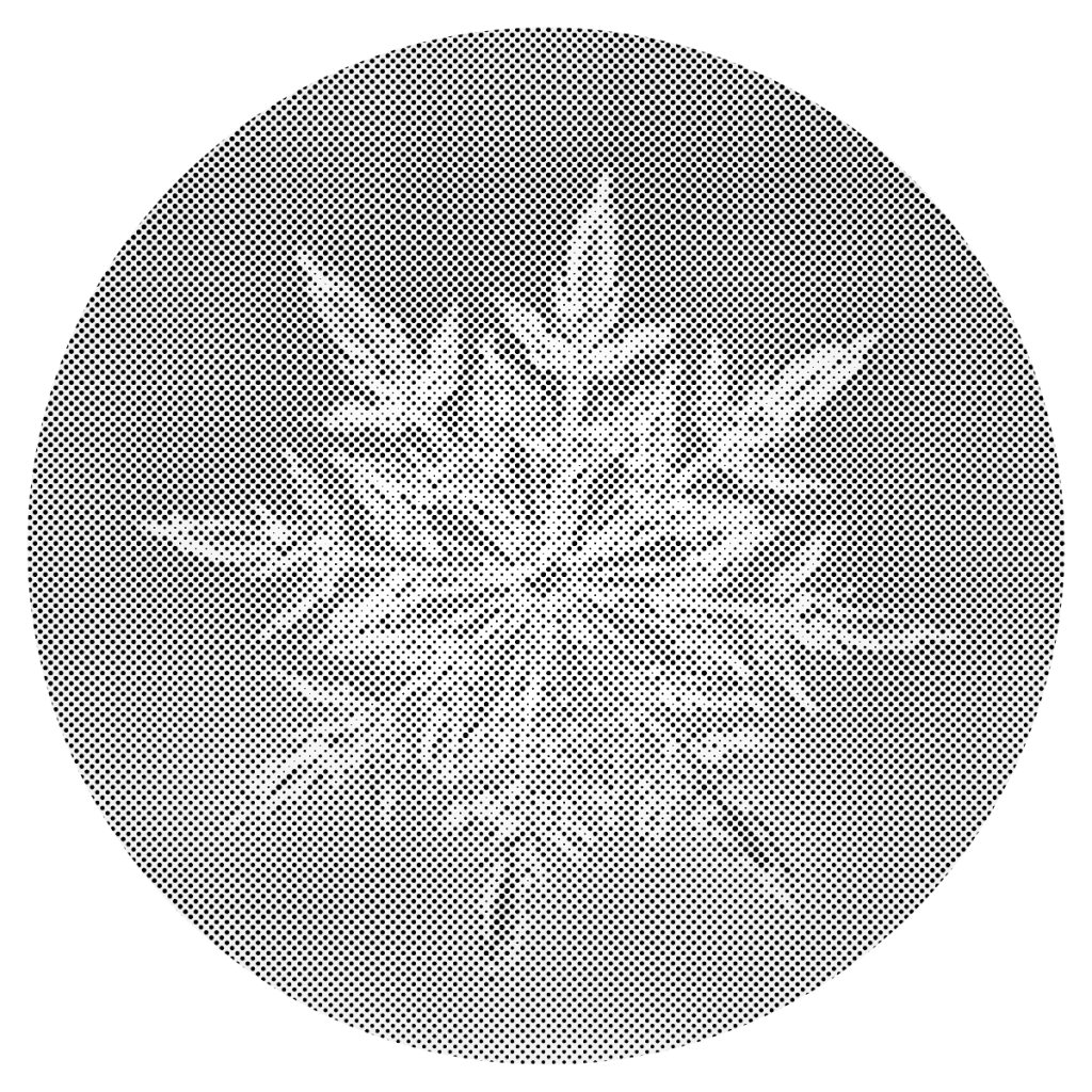 Puntillismo – Copo de nieve 2