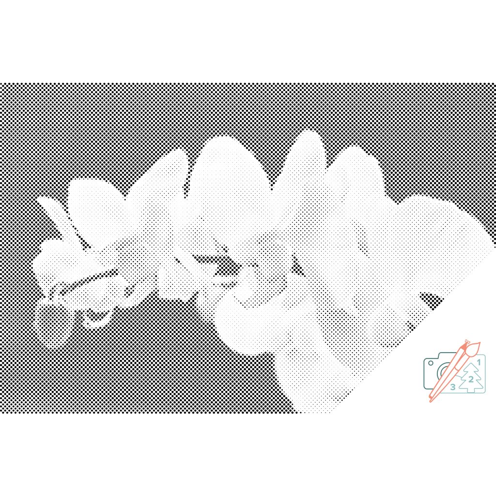 Puntillismo – Orquídea blanca 2