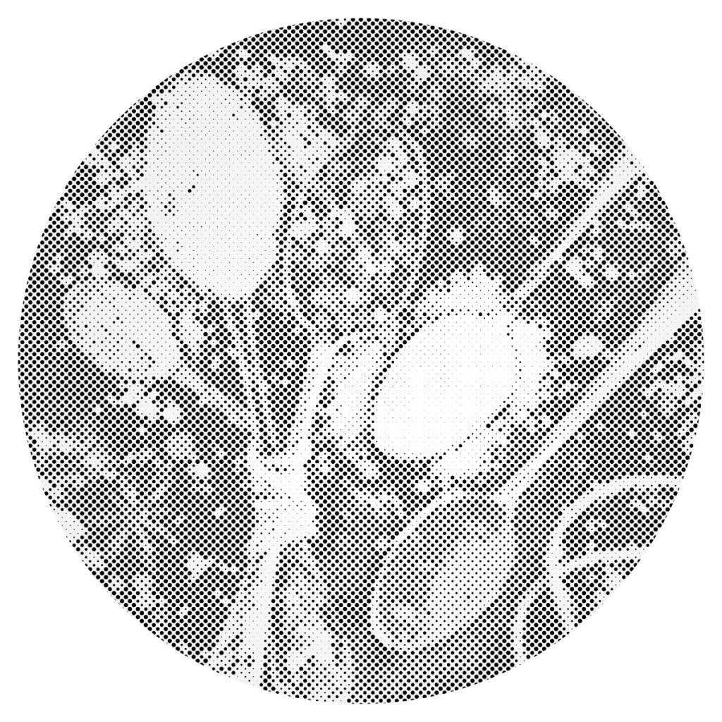 Puntillismo – Especias