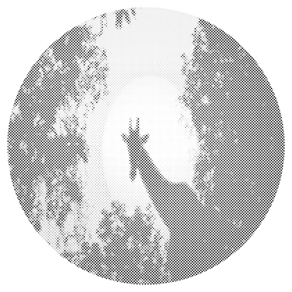 Puntillismo – Girafa a la luz de la luna