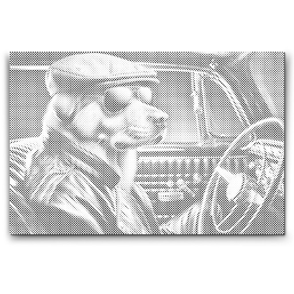 M2_Puntillismo_-_Perro_en_un_descapotable_negro