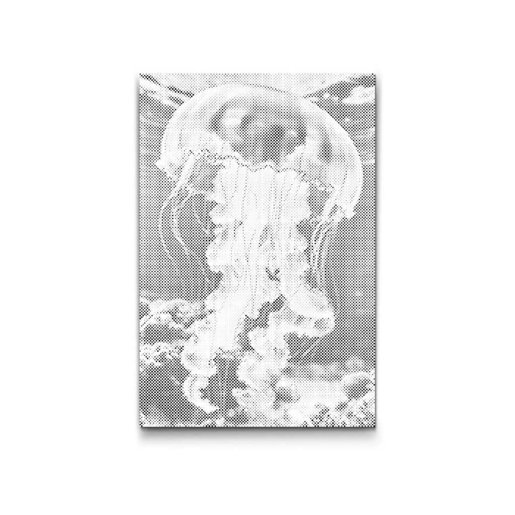 M2_Puntillismo_-_Medusa_en_el_mar