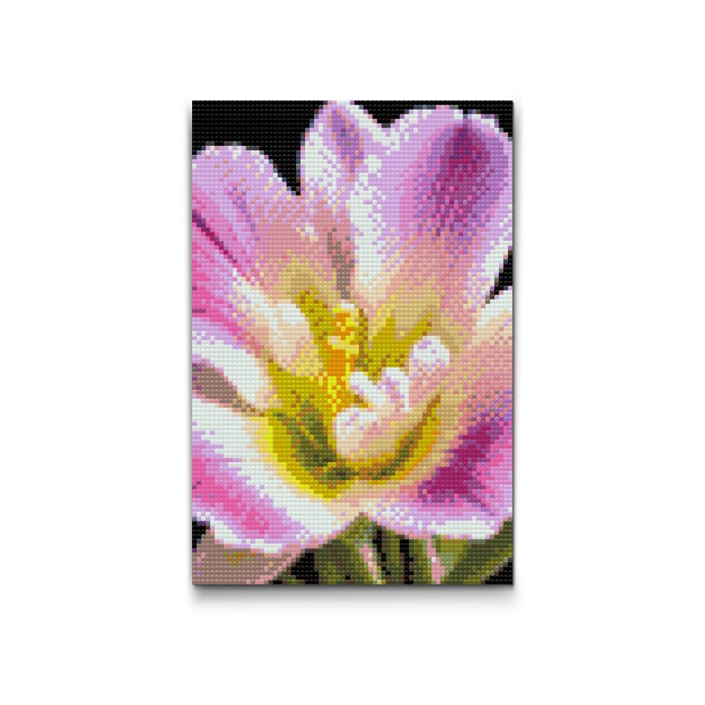 M2_Pintura_con_diamantes_-_Flor_de_fresia