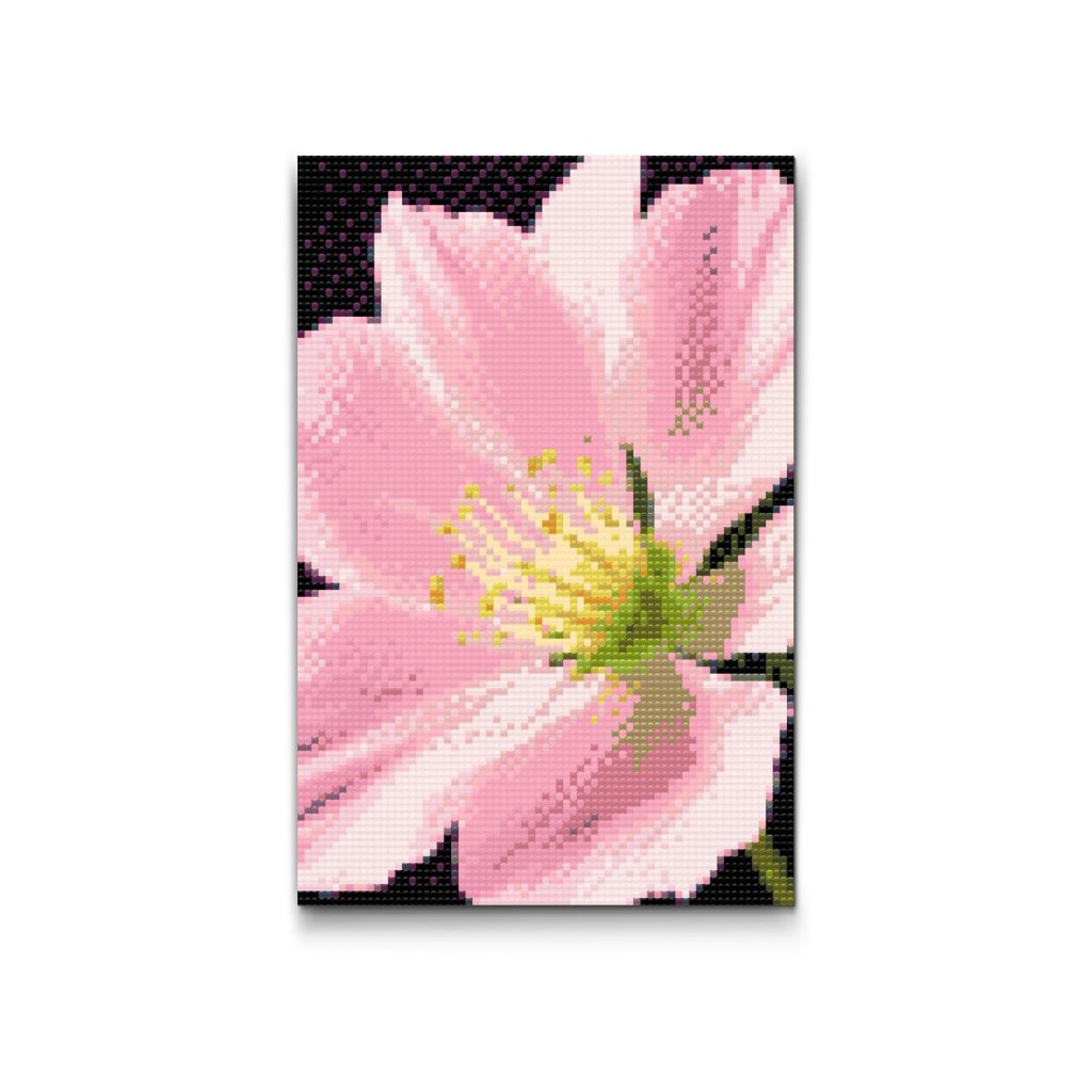 M2_Pintura_con_diamantes_-_Flor_de_geranio