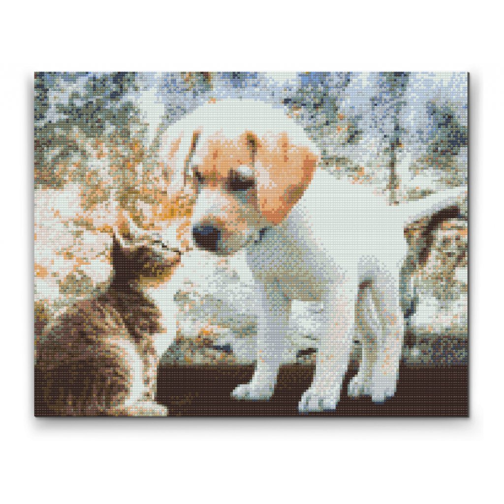 Pintura de diamante - Cachorro y gato