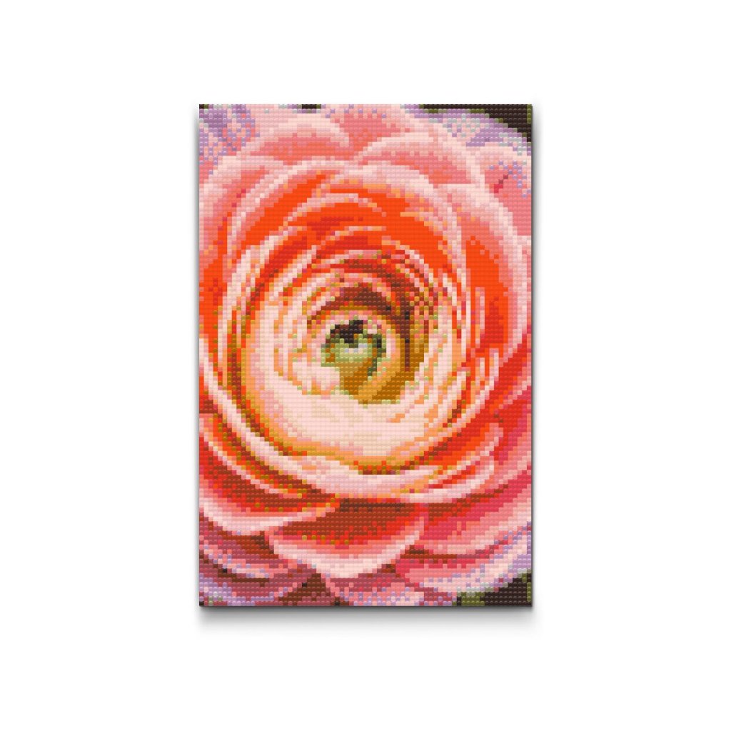 M2_Pintura_con_diamantes_-_Flor_de_ranúnculo
