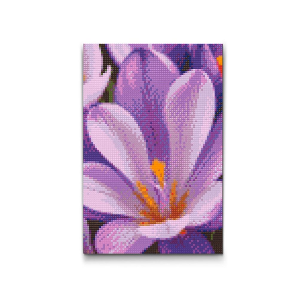 M2_Pintura_con_diamantes_-_Flor_de_azafrán