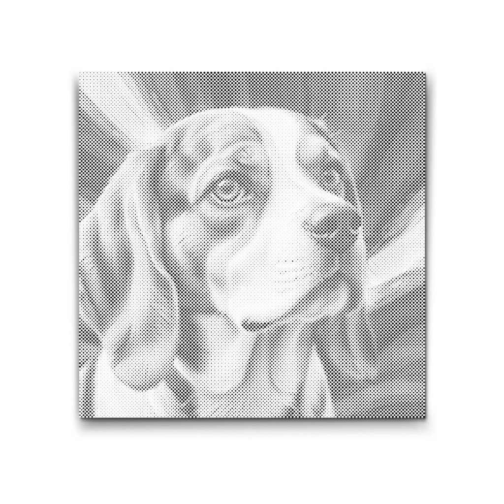 M2_Puntillismo_-_Beagle_en_tonos_de_rojo_y_azul