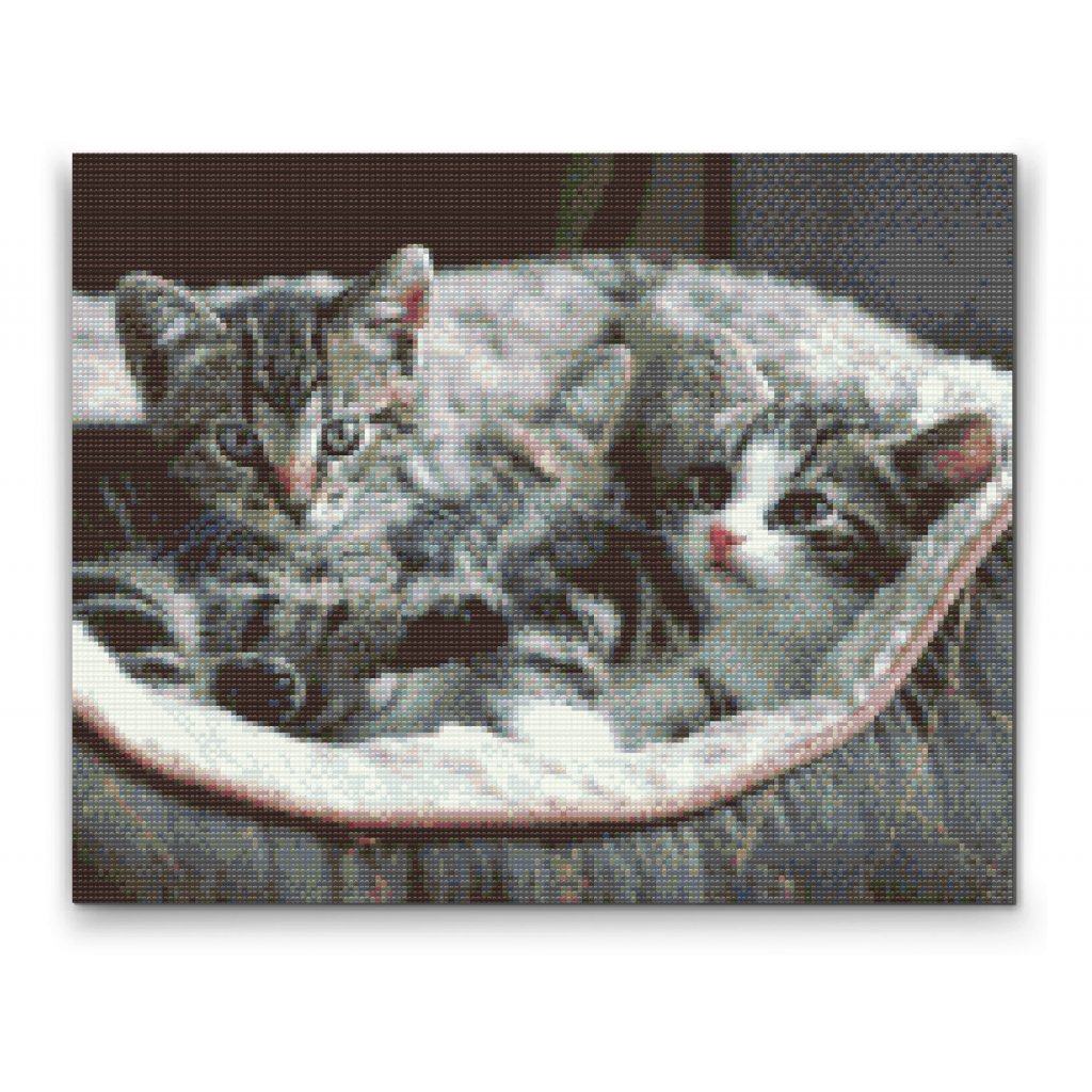Pintura de diamante - Gatitos en cesta