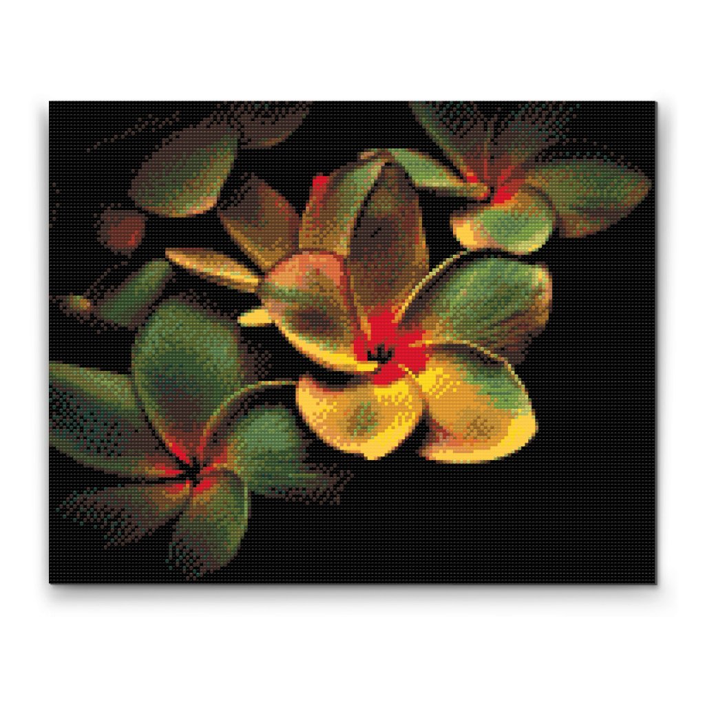 Pintura de diamante - Flores
