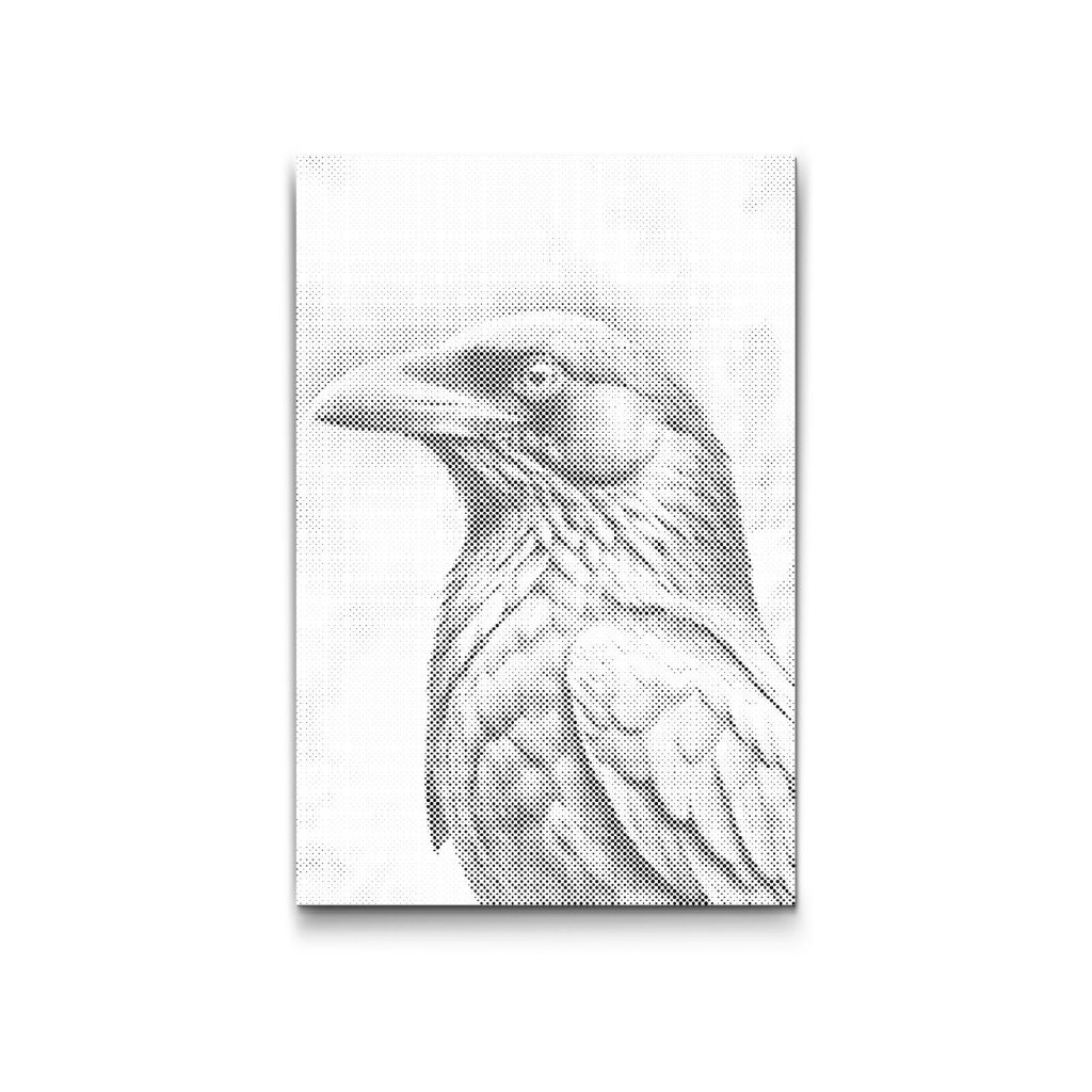 M2_Puntillismo_-_Cuervo_en_tonos_turquesa_oscuro