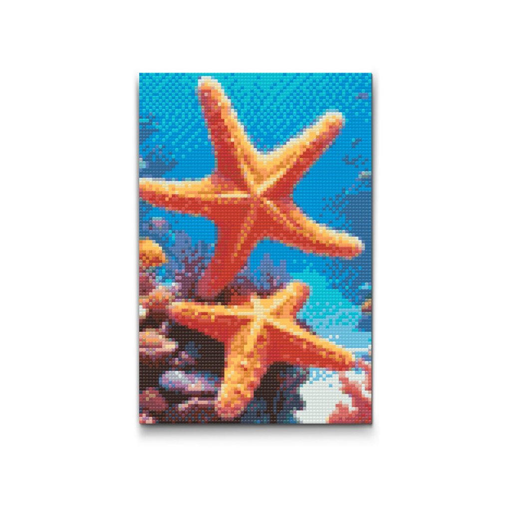 M2_Pintura_con_diamantes_-_Estrella_de_mar