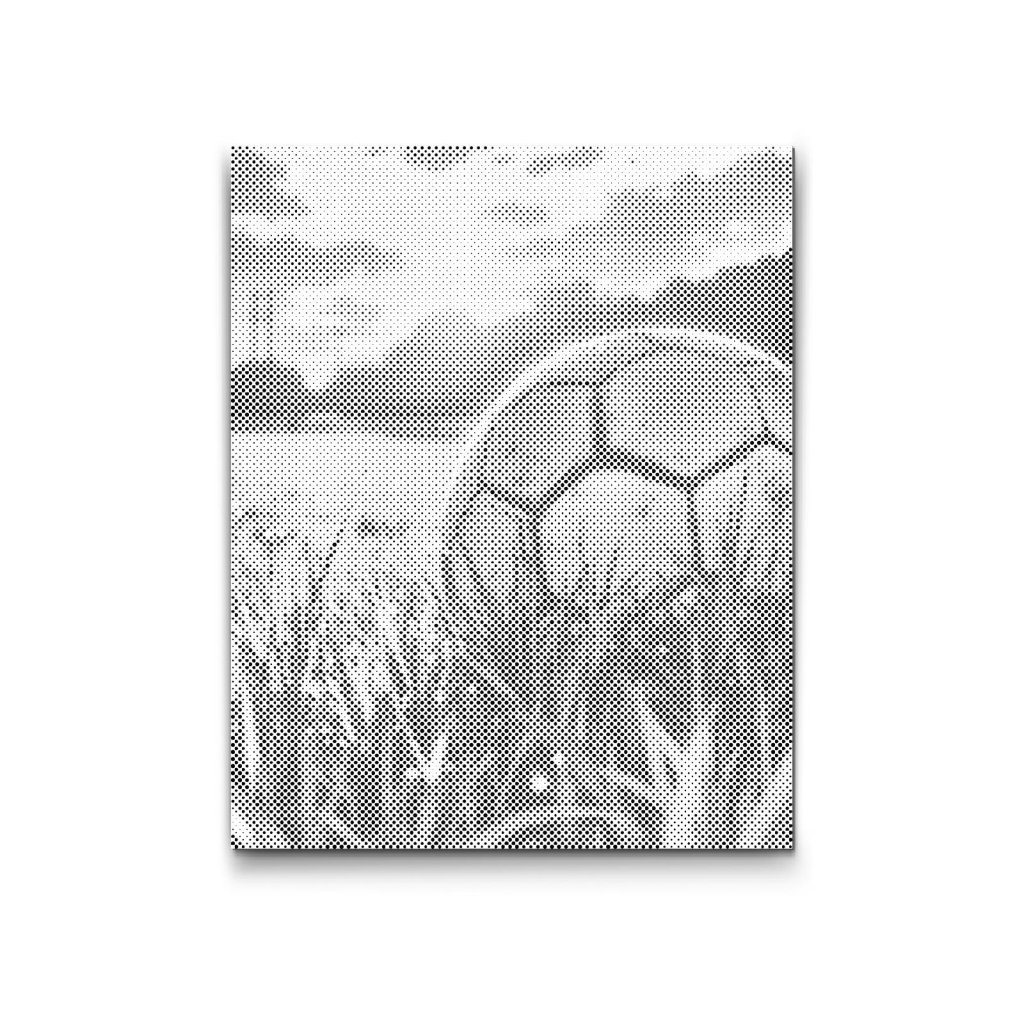 M2_Puntillismo_-_Balón_de_fútbol_al_atardecer