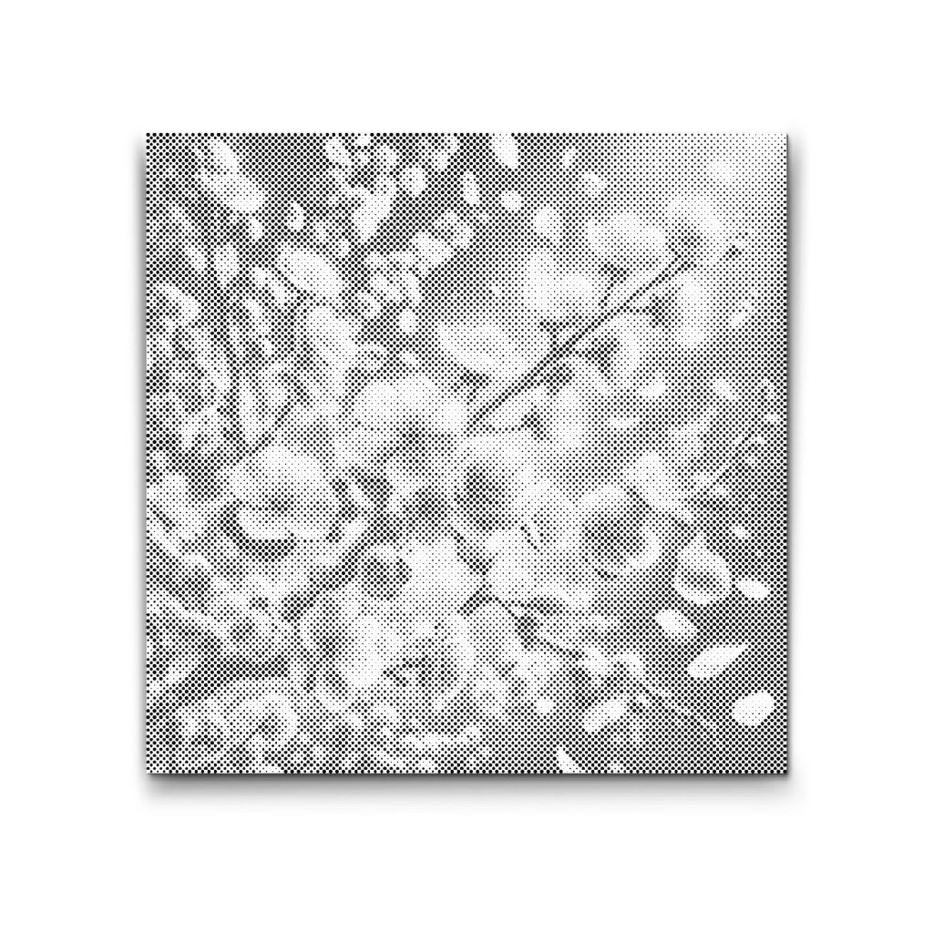 M2_Puntillismo_-_Flores_de_sakura