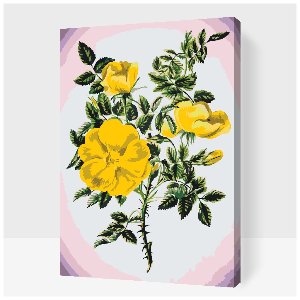 Pintura por números - Flores vintage III