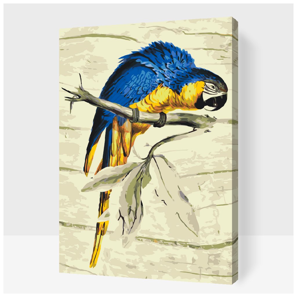 Pintura por números - Loro vintage