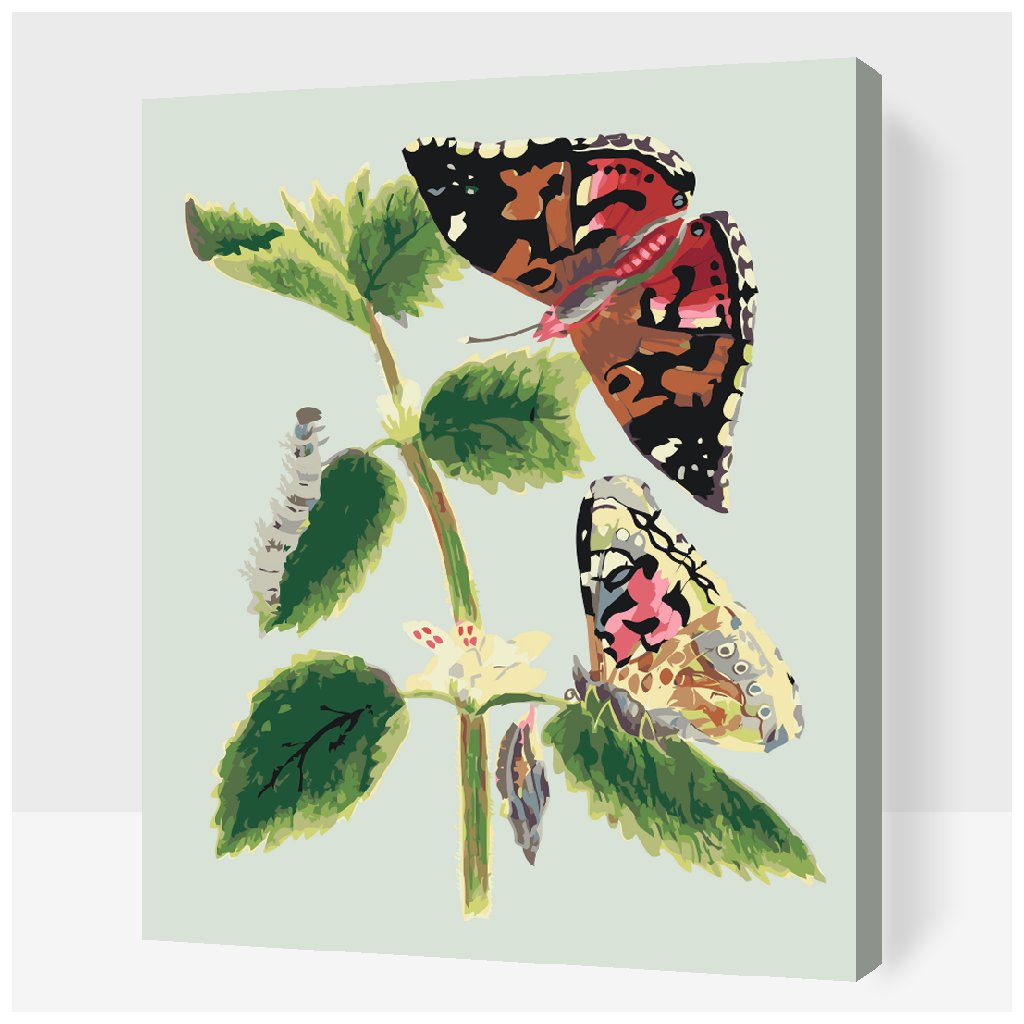 Pintura por números - Mariposas vintage I