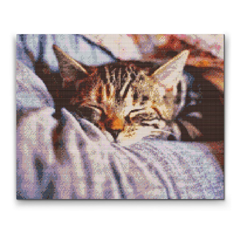 Pintura de diamante - Gatito durmiente