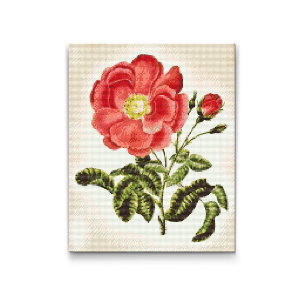 Pintura de diamante - Rosa vintage