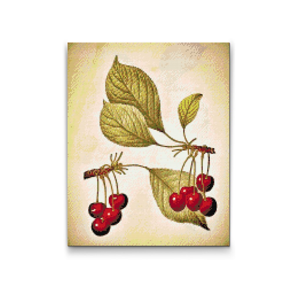 Pintura de diamante - Cerezas vintage