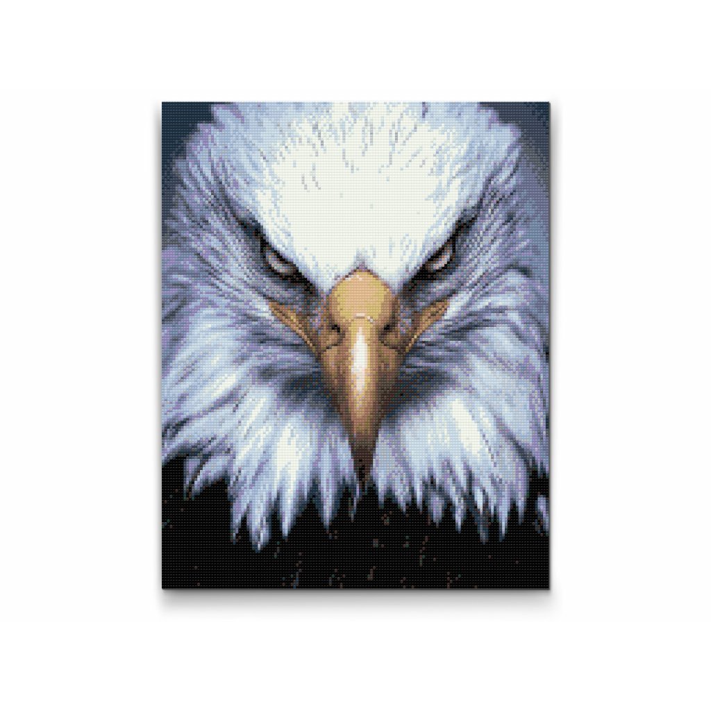 Pintura de diamante - Cabeza de águila