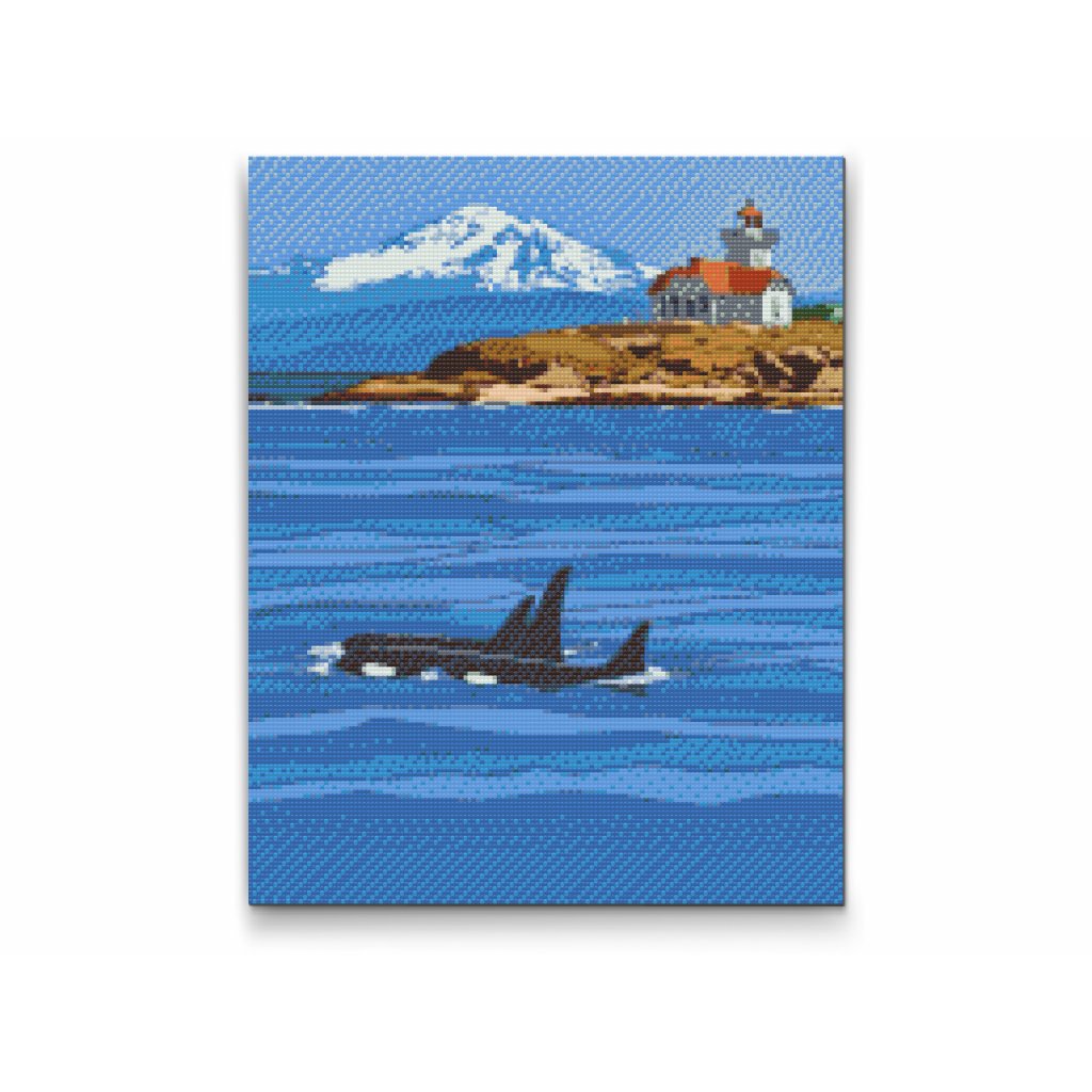 Pintura de diamante - Orcas