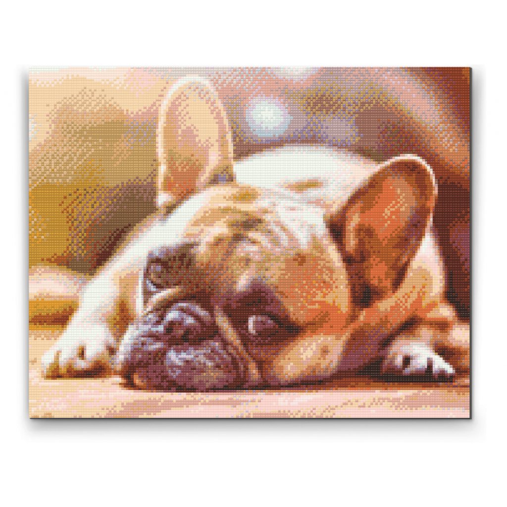 Pintura de diamante - Bulldog