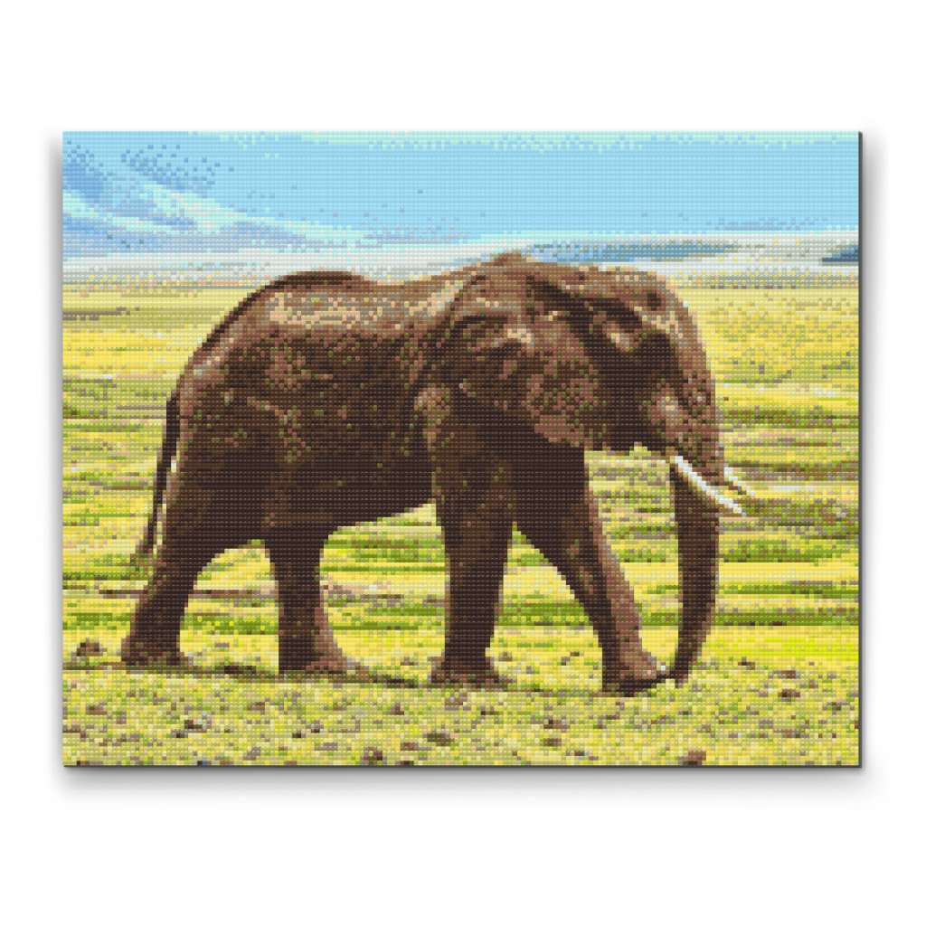 Pintura de diamante - Elefante de safari