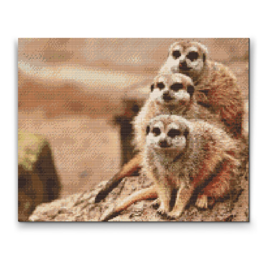 Pintura de diamante - Suricatas de safari