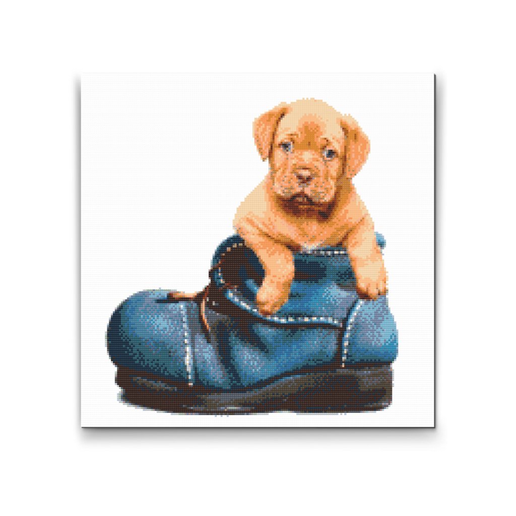 Pintura de diamante - Cachorro en un zapato