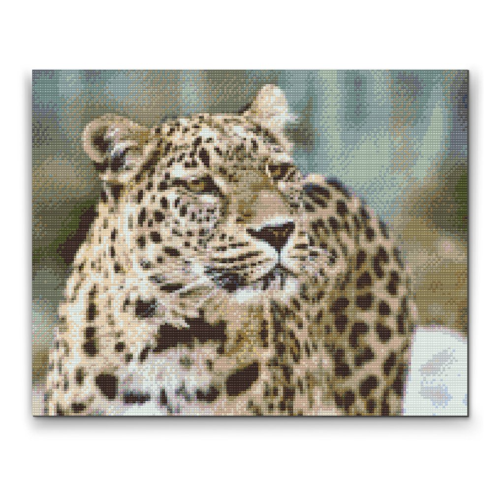 Pintura de diamante - Leopardo en la naturaleza