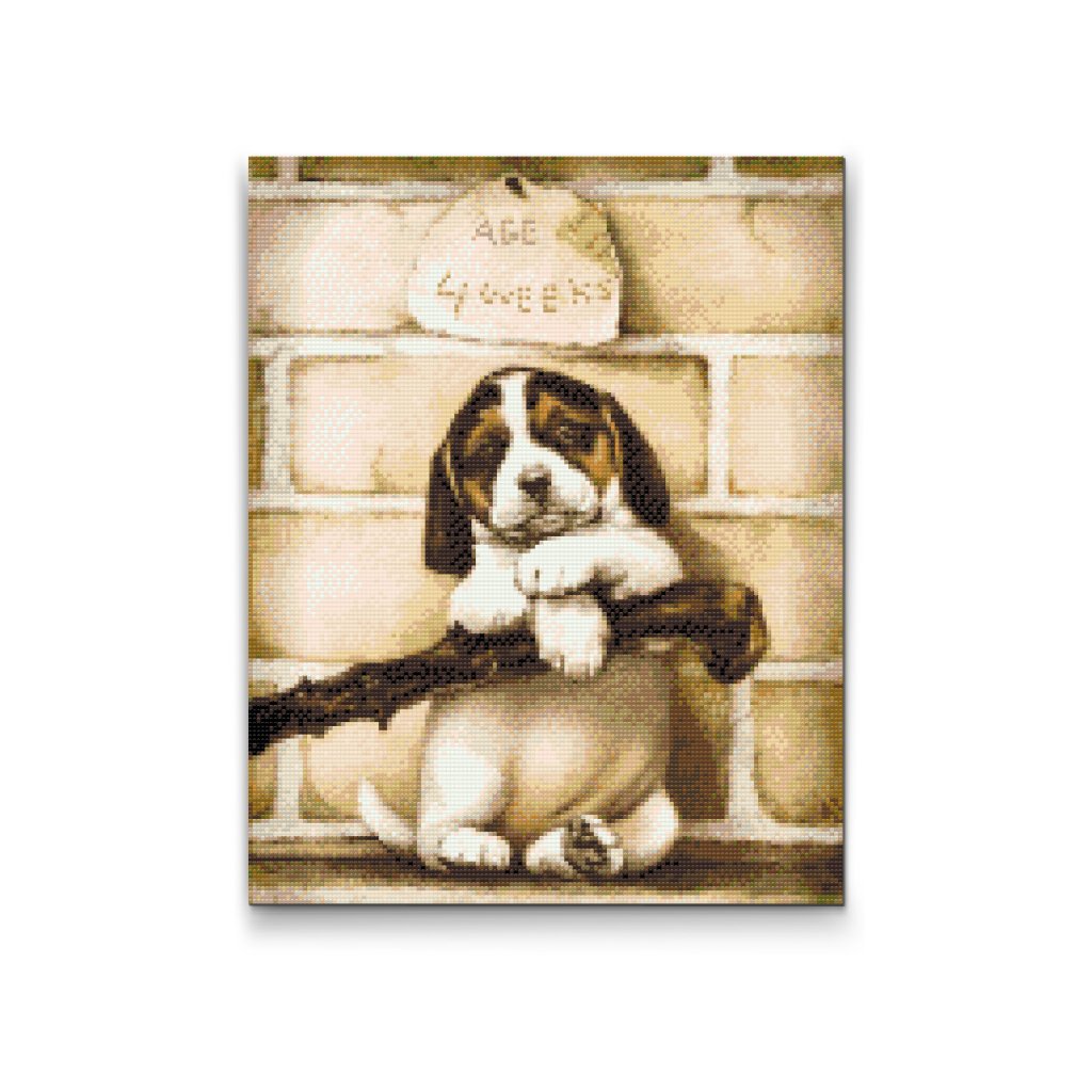 Pintura de diamante - Cachorro de cuatro semanas